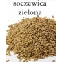 SOCZEWICA ZIELONA